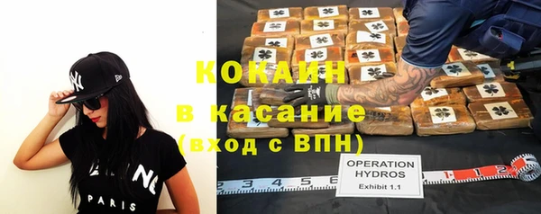 крисы Белокуриха
