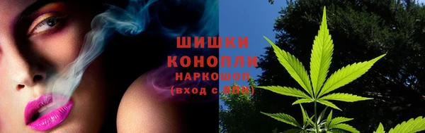 крисы Белокуриха