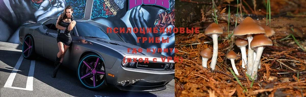 таблы Беломорск